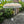 Large Balinese umbrella with gold patterns and fringe, set in tropical garden patio