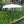 Waterproof Parasol