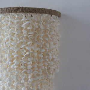 Wall Sconce from seashell