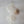 Handmade Balinese seashell chandelier with cascading white capiz shells, boho home decor