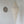Handmade Balinese seashell chandelier with intricate design hanging on white wall