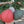 Hand holding three handmade fabric lanterns in red, green, and white outdoors