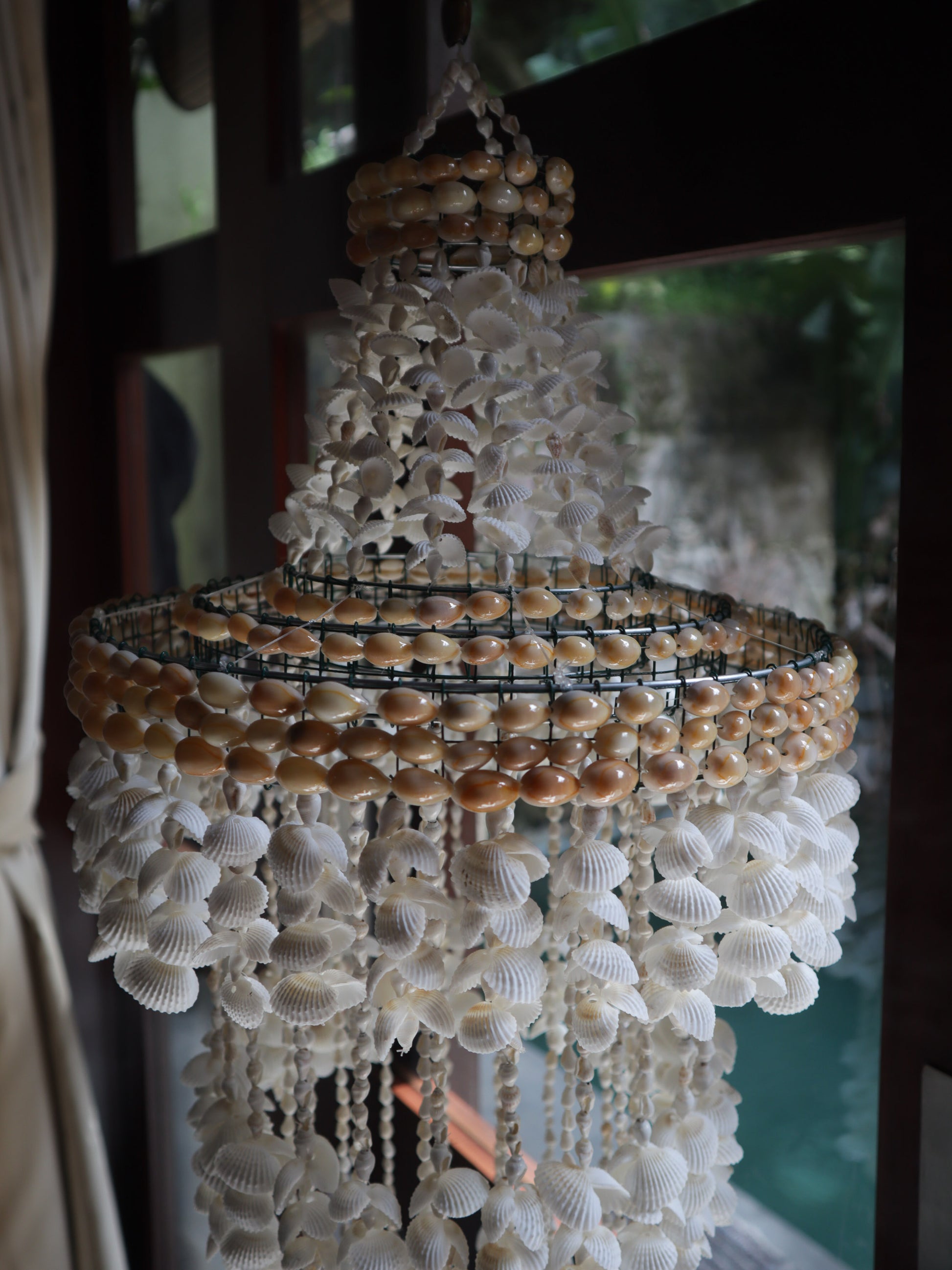 Sea shell chandelier decoration
