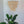 Handmade Balinese wooden bead chandelier above indoor plant in modern minimalist room