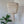 Handmade seashell chandelier with cascading strands, beside a green indoor plant