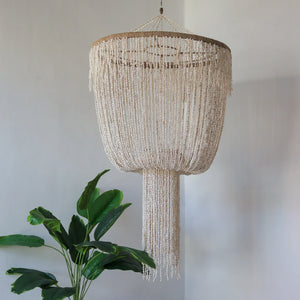 Handmade seashell chandelier with cascading strands, beside a green indoor plant
