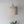 Handmade Balinese seashell chandelier on beige wall above green indoor plant