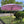 Parasol Garden Decoration in Light Pink