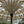 Handmade White Bamboo Parasol Bali with Bunga Motif