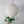 Linen lantern chandelier in off-white, round shape, hanging elegantly above a green plant.