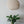 Handmade cotton chandelier lantern with pumpkin shape, suspended above a green plant in a stylish interior.
