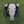 Hand-carved buffalo skull with intricate floral patterns and black horns on green grass