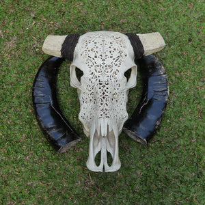 Hand-carved buffalo skull with intricate floral patterns and black horns on green grass