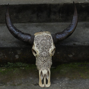 Hand-carved buffalo skull with intricate Balinese floral patterns and curved horns