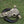 Hand-carved decorative buffalo skull with intricate patterns, displayed on grass