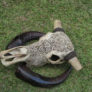 Hand-carved decorative buffalo skull with intricate patterns, displayed on grass