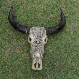 Intricately carved buffalo skull with black horns on grass, Balinese wall decor