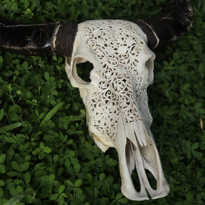 Hand-carved Balinese buffalo skull with intricate floral patterns on green grass