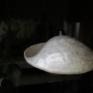 Handcrafted seashell chandelier pendant light with a curved natural shell design