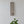 Hand-carved Balinese wooden wall art with geometric patterns above a green plant