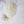 Capiz Shell Chandelier Madura