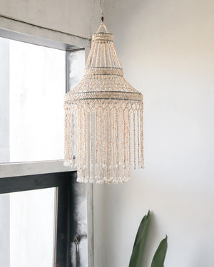 Ligh Fixtures from seashell