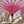 Handmade pink macrame parasol with carved wooden pole, outdoor garden decor