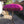 Balinese pink ceremonial umbrella with fringe in a traditional courtyard