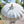 Balinese hand-carved white parasol with gold patterns and fringe, outdoors in garden
