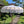 Balinese white decorative umbrella with gold accents and fringe, outdoor garden setting