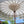 Balinese hand-carved garden umbrella with white fringe and gold pattern outdoors