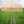 Handmade Balinese bamboo and jute umbrella with fringe in a lush green rice field