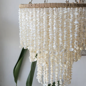 Seashell Lighting, Handcraft Seashell Chandelier