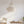 Seashell Chandelier infrot of the white wall