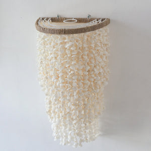 Wall Sconce from seashell