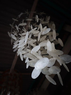 Handmade Balinese seashell chandelier with cascading translucent shell discs